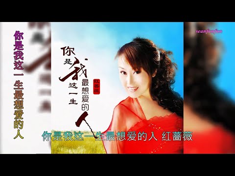 【你是我这一生最想爱的人】红蔷薇