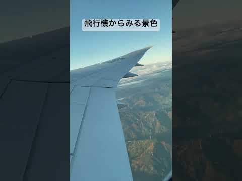 飛行機#shorts