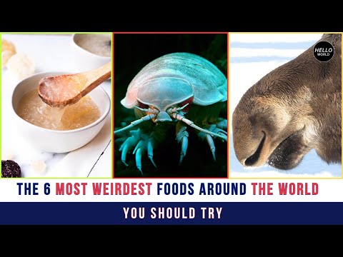 6 Strangest Foods from Around the World You Must Try | Taste the Unusual!