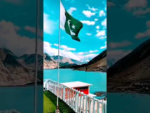 #pakistan#independenceday #flag#shortvideo#viral