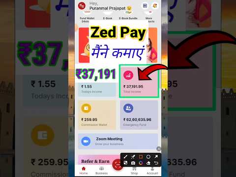 I earned ₹37191 from Zed Pay | जेड पे से मैंने कमाएं ₹37191 | #zedpeyearning