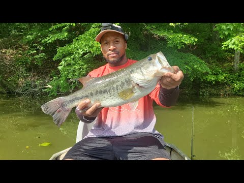 Post Spawn Bass Fishing!! Two 5 pounders!!