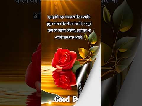 Good evening status #bollywood #song #music #love #bollywoodsongs #bollyrwoodsongs #lovesongs #short