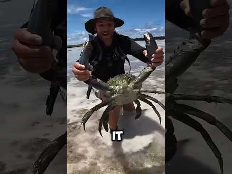 thrilling island survival adventure #MudCrabCatch #BarehandedCatch #SurvivalChallenge #PrimitiveLivi