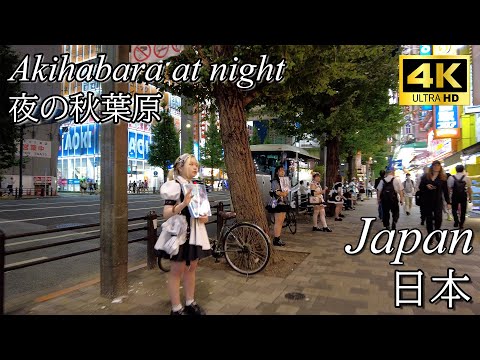 【散歩/Walk】夜のアキバ/Akihabara at Night