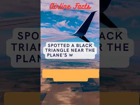 Wonder about black triangle on Airplane Window? #youtubeshorts #travel #travel #FlightFacts