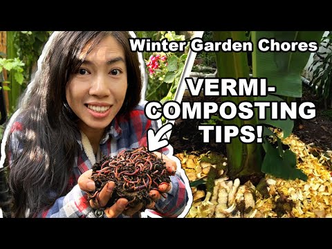 From Waste to Wonder: Simple Winter Composting Tips for Your Garden