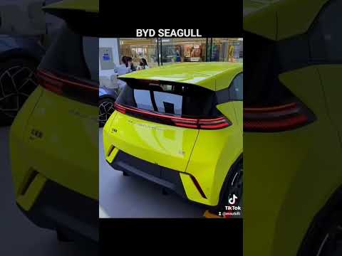 BYD SEAGULL #car #voiture #automobile #madeinchina #auto #vehicles #electriccar #ev #electriccar