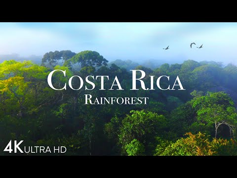 Costa Rica Rainforest 4k - Happiest Country On Earth With Exotic Wildlife | Scenic Relaxation Film