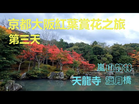 嵐山 – Arashiyama - 日本京坂紅葉賞花之旅 – 第三天 – Kyoto Osaka trip – 3rd day ｛旅遊篇 travelling｝