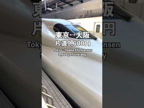 A cheap and comfortable way to travel between Tokyo and Osaka by Shinkansen is too dangerous...