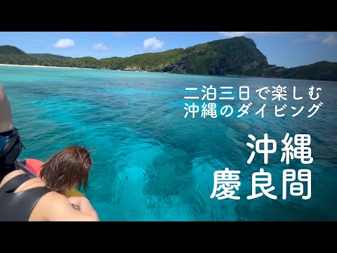 初心者でも楽しめる沖縄のダイビングツアー｜ケラマの海を満喫