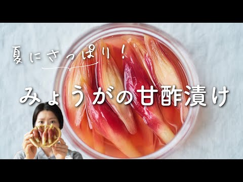 【さっぱり美味しい！】みょうがの甘酢漬けのレシピ・作り方