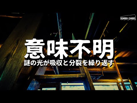 【恐怖】謎の光が吸収と分裂を繰り返す