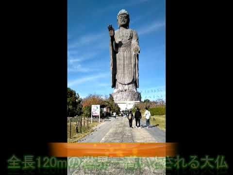 茨城県“牛久大仏” を見に行ってみました！