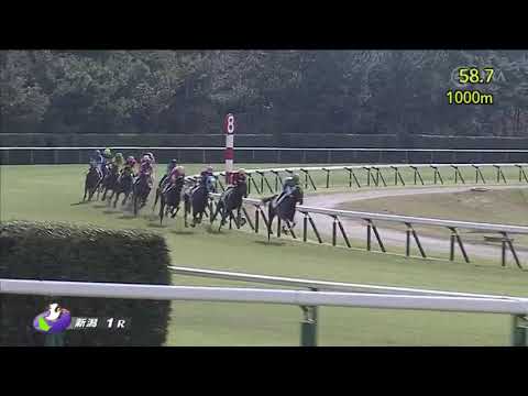 2022/10/23　オメガリッチマン　未勝利戦