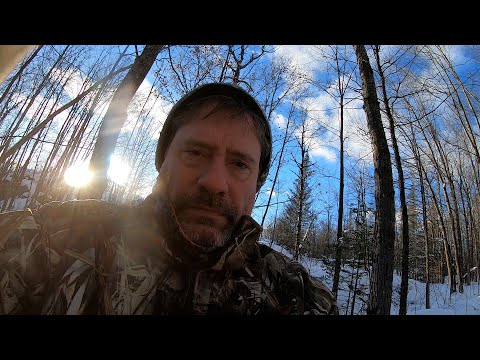 Snow and Electricity at my Off Grid Cabin