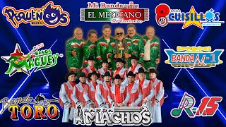 Tecno Banda Mix Quebraditas Exitos - El Mexicano, Banda Machos, Pequenos, Cuisillos, Maguey... y Mas