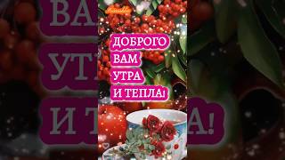 Тепла вам и доброго утра!!!#доброеутро #длявас #rec #shortsvideo #открытка #музадуши