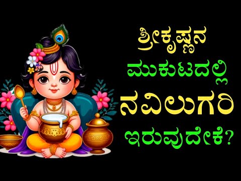 ಶ್ರೀಕೃಷ್ಣನ ಮುಕುಟದಲ್ಲಿ ನವಿಲುಗರಿ ಏಕೆ ಇರುತ್ತದೆ? | Why Lord Krishna wears a peacock feather on his head?