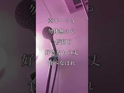 しゃけみー - 『鬼ノ宴』を"お風呂で限界までキー上げして歌ってみたら鬼難易度だった【アカペラ】#Shorts