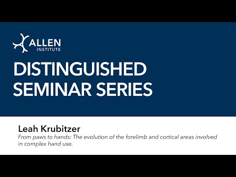 Distinguished Seminar: Leah Krubitzer