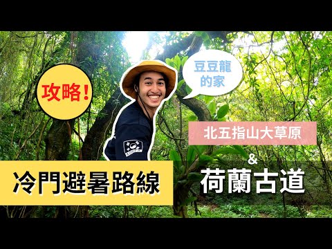 【荷蘭古道】| 冷門避暑路線｜宛如豆豆龍居住的森林｜Outdoor Gene 冒險基因 完整解說荷蘭古道接高頂山路線