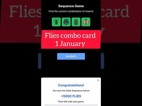 FLIES 1 JANUARY COMBO CARD