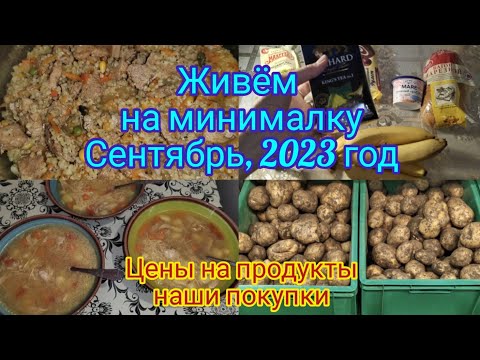 Живём на минималку ! 2023 год , сентябрь , меню,цены в магазинах