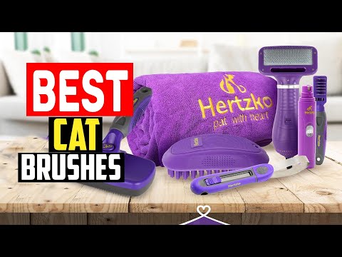 ✅Top 5 Best Cat Brushes Tested With Real Cats and Kittens of 2024