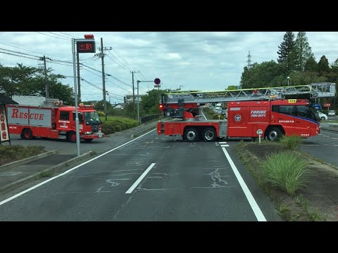 いざ出動‼︎【消防車】緊急走行‼︎