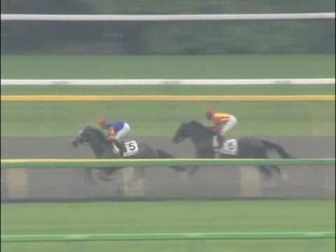 2009年5月31日 東京6R サラ系3歳500万下 テスタマッタ