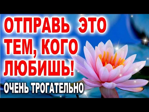 ТРОГАТЕЛЬНО ДО СЛЕЗ🌷. ВИДЕО-ОТКРЫТКА-СТИХ. НОВИНКА!!!