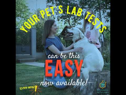 Your Pet's Lab Tests Can Be This Easy