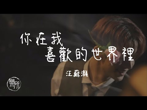 汪蘇瀧 I 你在我喜歡的世界裡『愛是對美好的崇拜 決定好只對你偏愛 oh 我的愚蠢 我的認真 只為一個人』Lyrics Video【高音質 動態歌詞/PinyinLyrics】