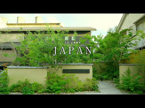 Nara Travel】Beautiful inn with a view of trees｜Touring the stores I wanted to visit this summer