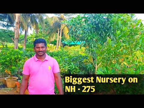 Plant Nursery Visit Video // Biggest Nursery on Bengalore Mysore Highway //