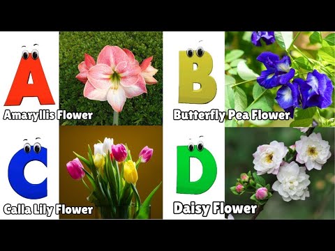 Flowers ABC Song for Kids | Phonics for Kids | English Alphabet Letters