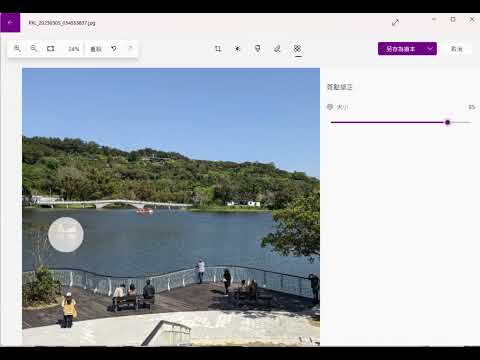 Windows 相片斑點修正