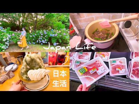 (ENG SUB CC)[Japan Vlog] Slow Life: Before the hydrangea blooms... Walk in the park, KOMEDA Coffee