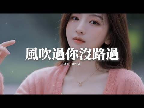 陳小滿 - 風吹過你沒路過『等風吹落星河 等雨打滅燈火，是否我們 就能重新來過，偏你追着日落 被人海所淹沒，我等你這麼久 沒再回來過。』【動態歌詞MV】