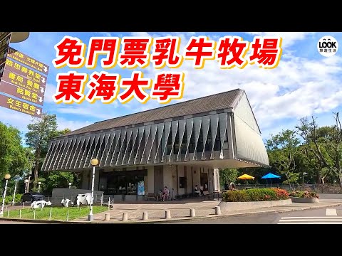 東海大學-免門票參觀乳牛牧場!!還有牛乳冰淇淋可以吃!!