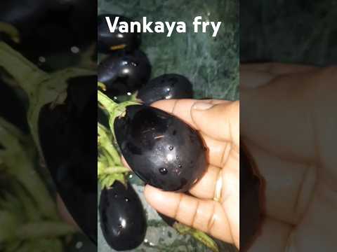 నా స్టైల్ లో వంకాయ ఫ్రై చేయండి👌 #ytshorts #vankayafry #bringalfry #short #viral #cooking #trending