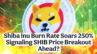 Shiba Inu Burn Rate Soars 250% Signaling SHIB Price Breakout Ahead? #shibainu