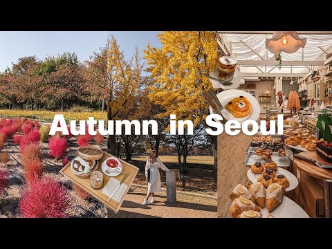 Autumn in Seoul 🍂 finding pink muhly, exploring Gangnam, Ikseon-dong, Sinsa-dong 🇰🇷