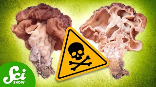 The 6 Deadliest Mushrooms