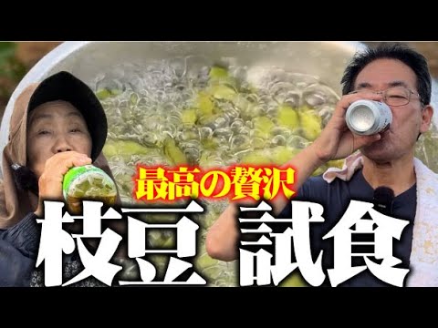 【採れたての茹でたて】今年の枝豆の試食を畑で次男としました【おつな姫】【丹波の黒豆】【次男】2024/08/07