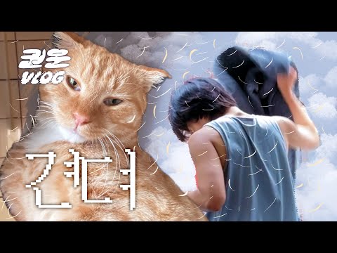 고양이 알레르기 있는 집사는 어떻게 살까 | 퓨리나 리브클리어 기능성 사료와 청소와 청소