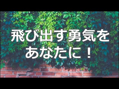 【成功名言チャンネルの言葉】飛び出す勇気をあなたへ贈る！