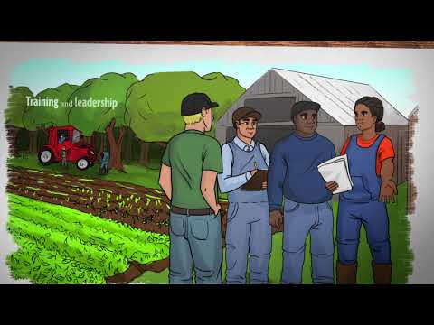 What is Sustainable Agriculture? Episode 4: Social Sustainability